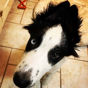 Meet your Posher, Karin